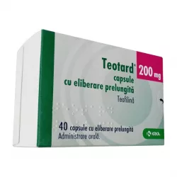 Теотард (теофиллин) 200мг капсулы N40 фото